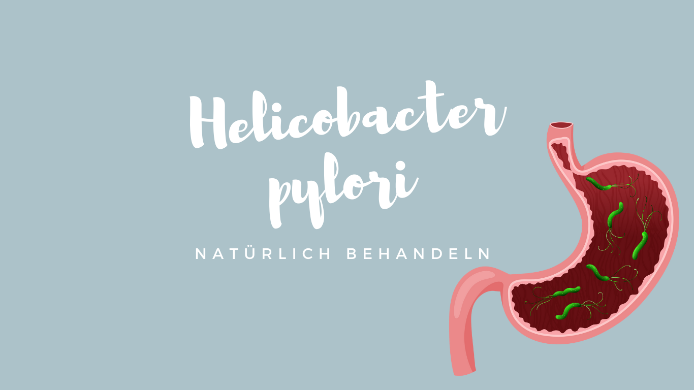 Helicobacter pylori natürlich behandeln
